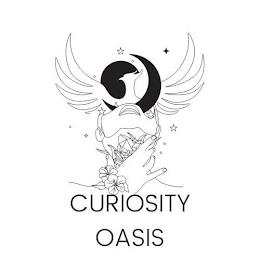 CURIOSITY OASIS trademark