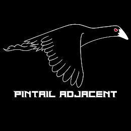 PINTAIL ADJACENT trademark