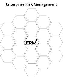 ENTERPRISE RISK MANAGEMENT ERM trademark