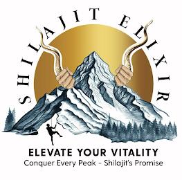 SHILAJIT ELIXIR, ELEVATE YOUR VITALITY CONQUER EVERY PEAK - SHILAJIT'S PROMISE trademark