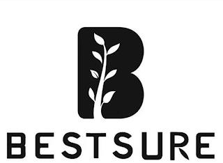 B BESTSURE trademark