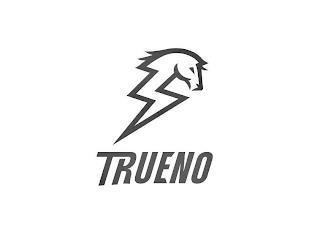 TRUENO trademark