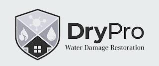 DRYPRO WATER DAMAGE RESTORATION trademark