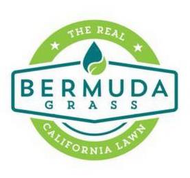 BERMUDA GRASS THE REAL CALIFORNIA LAWN trademark