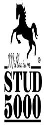 MILLENIUM STUD 5000 trademark