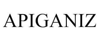 APIGANIZ trademark