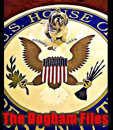 U.S. HOUSE O CMUNIOUS UNUM THE DOGHAM FILES trademark