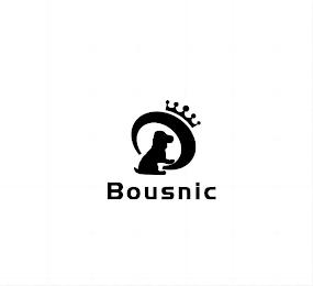 BOUSNIC trademark