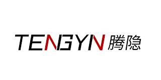 TENGYIN trademark