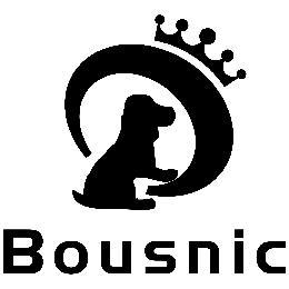 BOUSNIC trademark