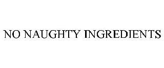 NO NAUGHTY INGREDIENTS trademark