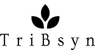 TRIBSYN trademark