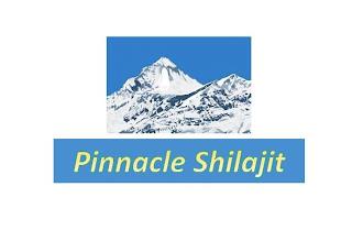 PINNACLE SHILAJIT trademark