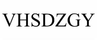 VHSDZGY trademark