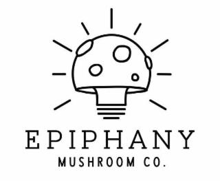 EPIPHANY MUSHROOM CO. trademark